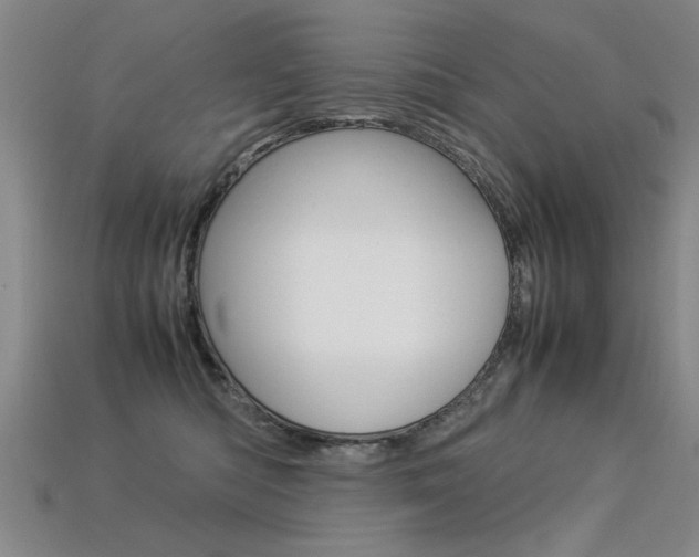 X0000113350422200909151030