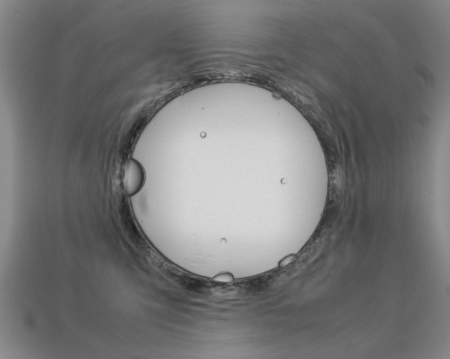 X0000113350423200909151030