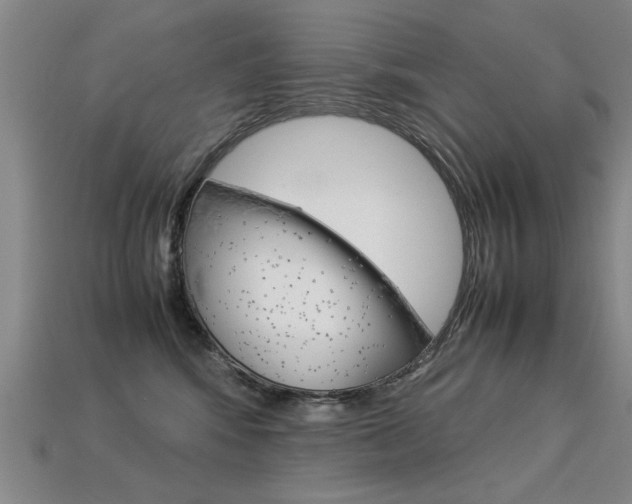 X0000113350424200909151030