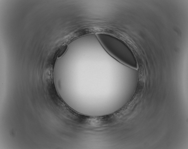 X0000113350425200909151030