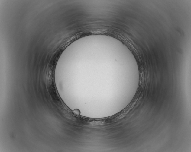 X0000113350426200909151030