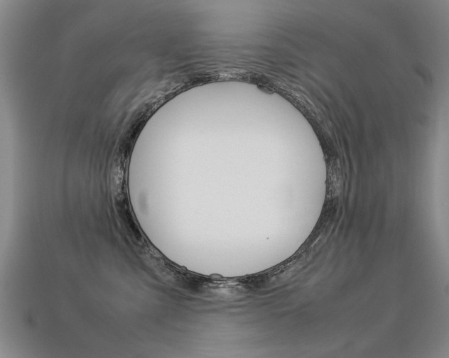 X0000113350427200909151030