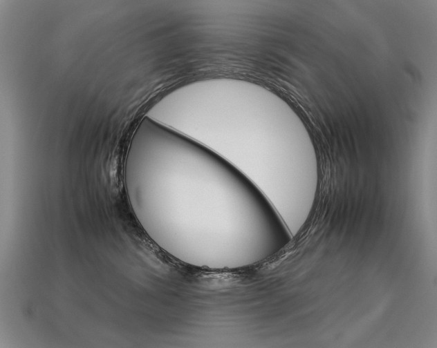 X0000113350428200909151030