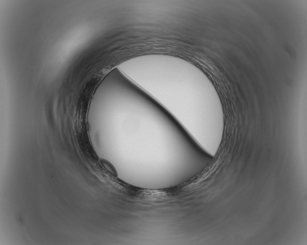 X0000113350429200909151030