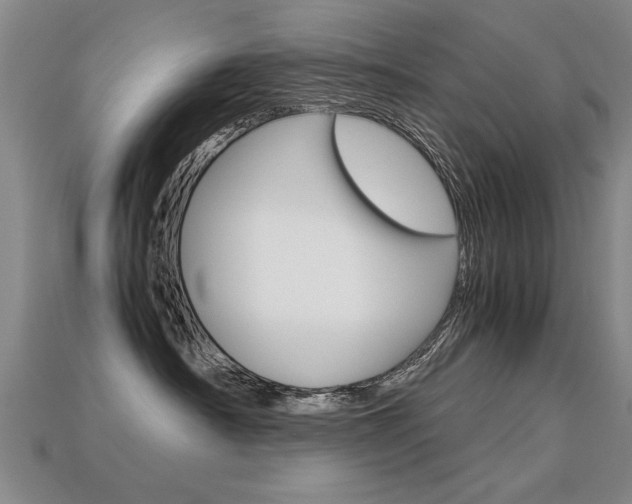 X0000113350430200909151030