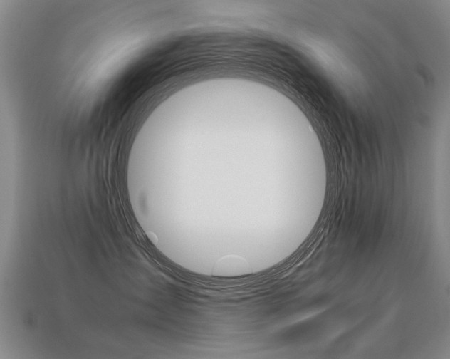 X0000113350431200909151030