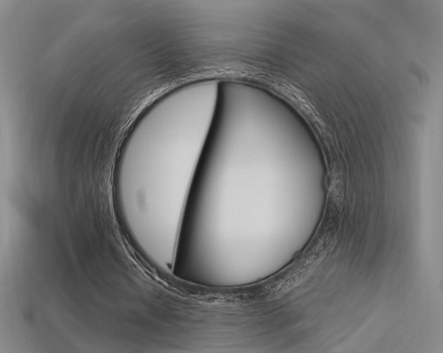 X0000113350434200909151029