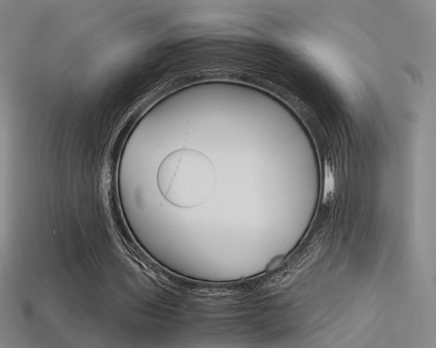 X0000113350435200909151029