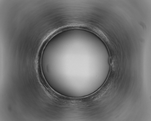 X0000113350436200909151029