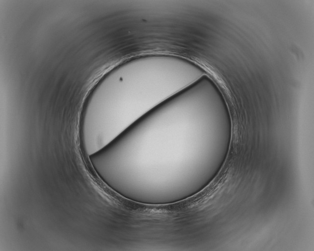 X0000113350437200909151029