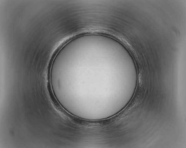 X0000113350438200909151029