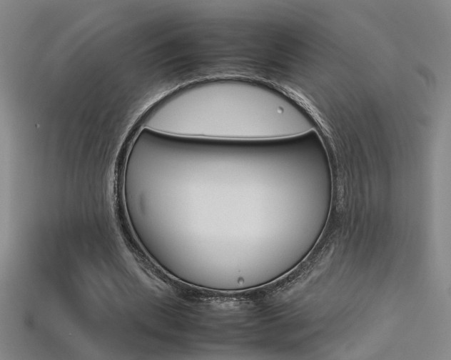 X0000113350439200909151029
