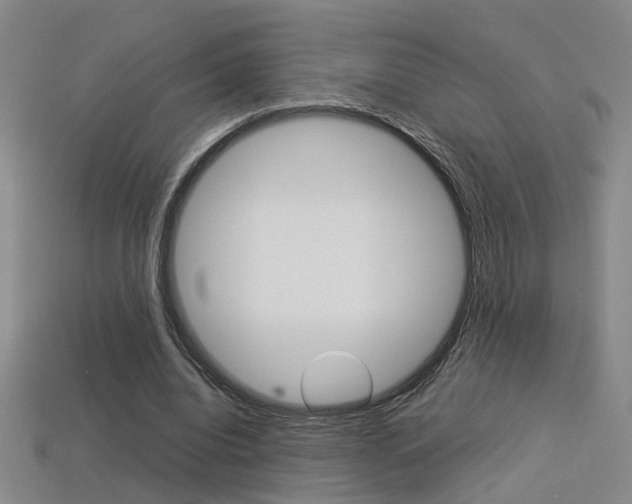 X0000113350440200909151029