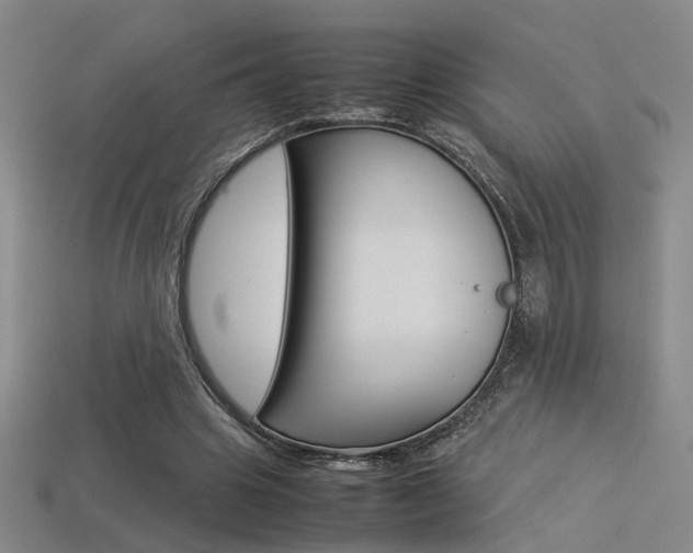X0000113350441200909151029