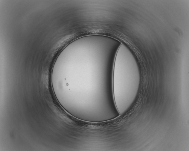 X0000113350442200909151029