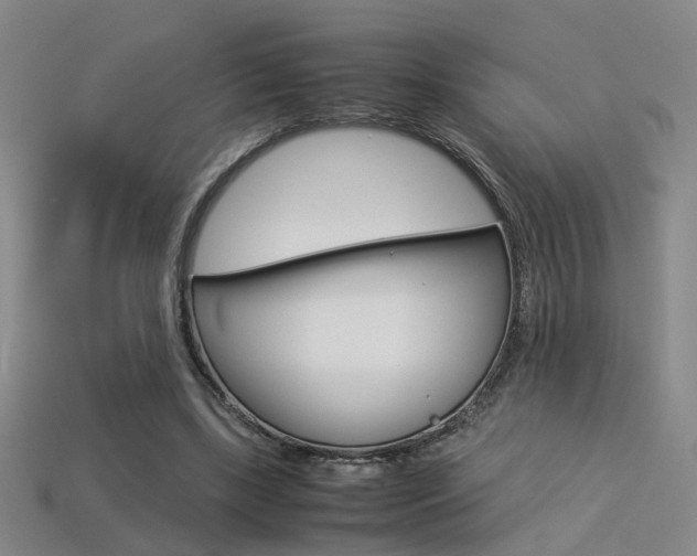 X0000113350443200909151029