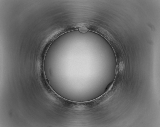 X0000113350444200909151029