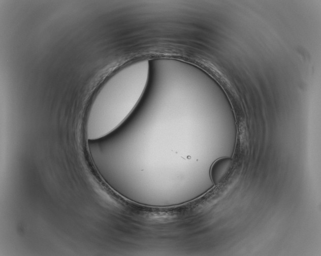 X0000113350445200909151029
