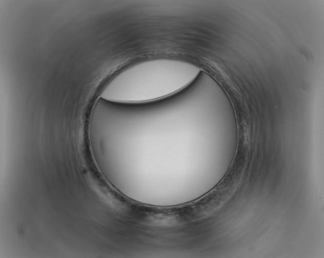 X0000113350447200909151029