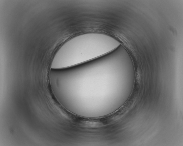 X0000113350449200909151029