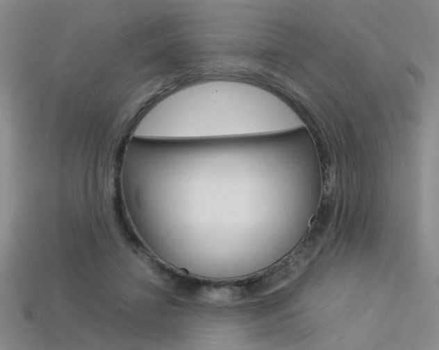 X0000113350452200909151029
