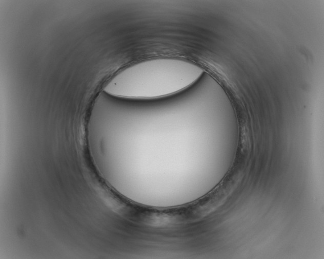 X0000113350453200909151029
