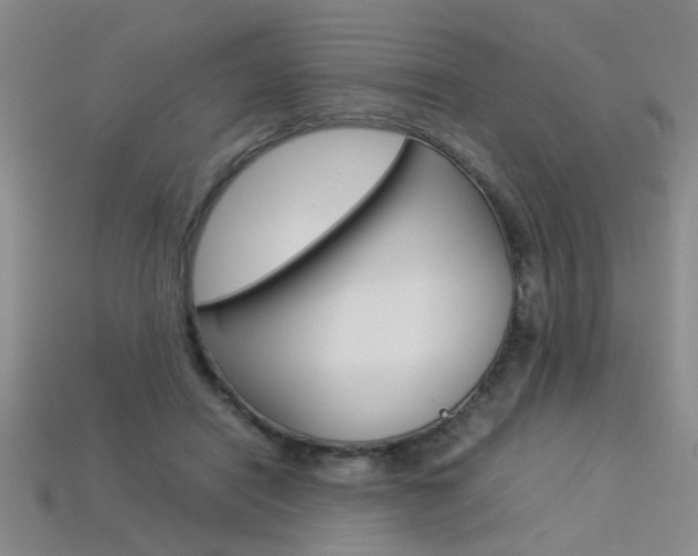 X0000113350454200909151029