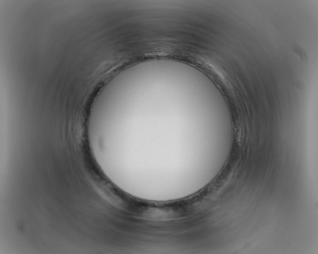 X0000113350455200909151029