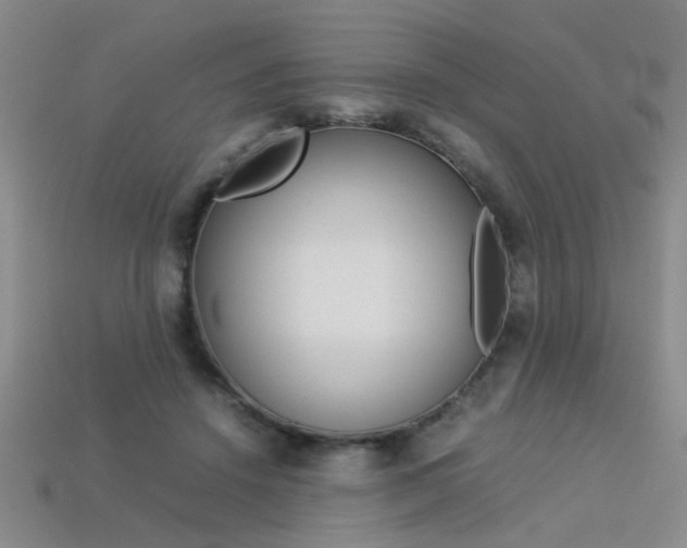 X0000113350456200909151029