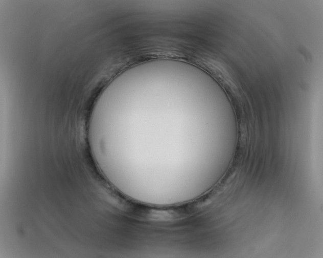 X0000113350457200909151029