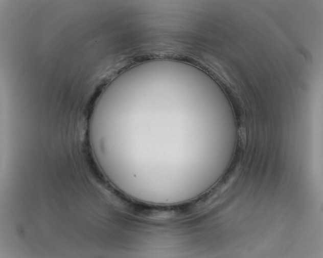 X0000113350458200909151029