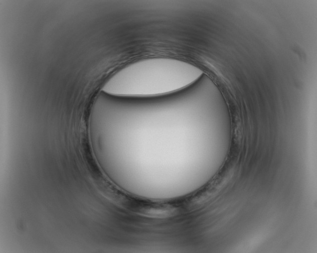 X0000113350459200909151029