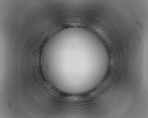 X0000113350461200909151029
