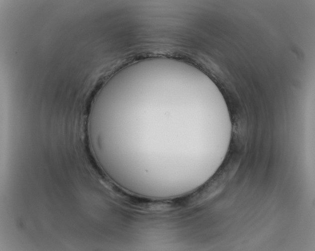 X0000113350462200909151029