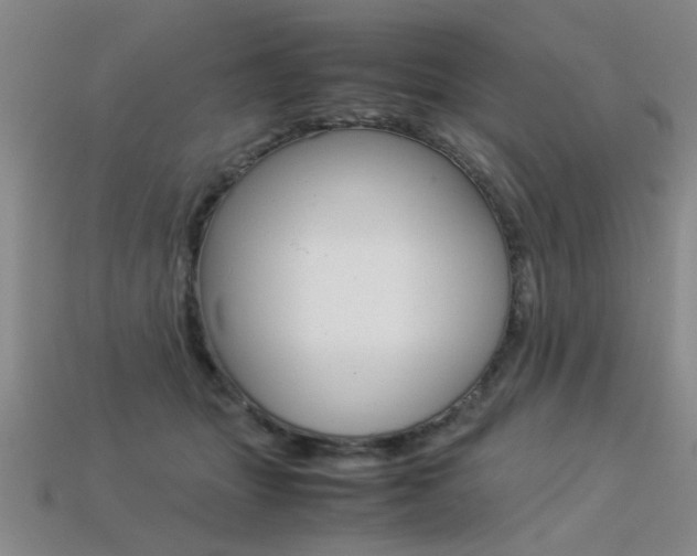 X0000113350463200909151029