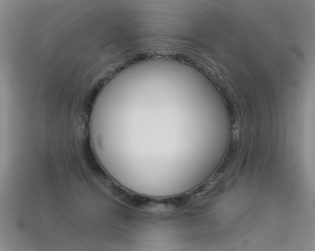 X0000113350464200909151029