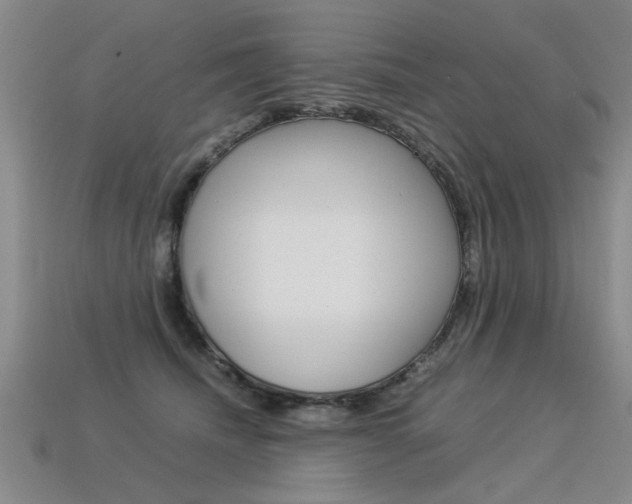 X0000113350468200909151029