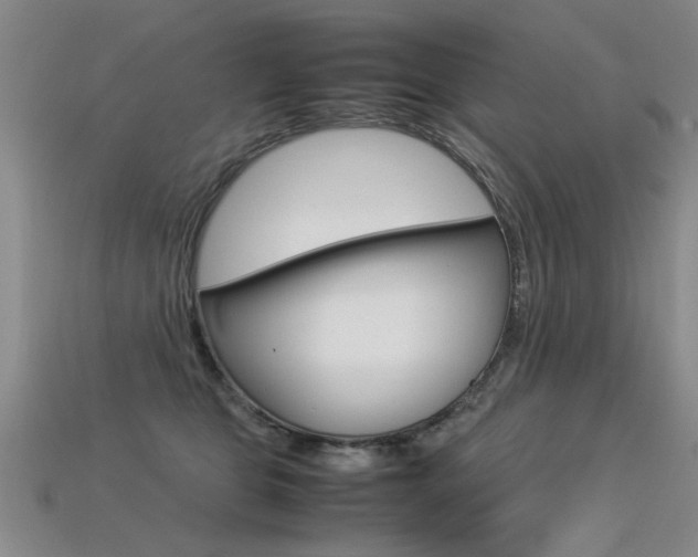 X0000113350469200909151029