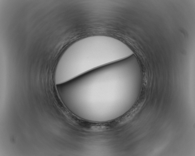 X0000113350470200909151029