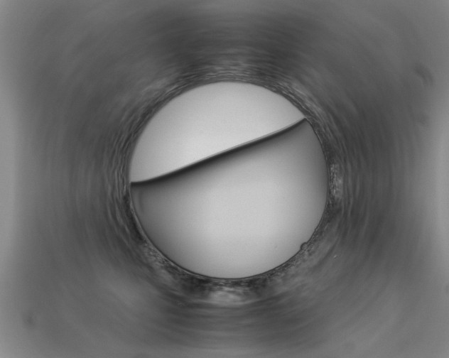 X0000113350471200909151030