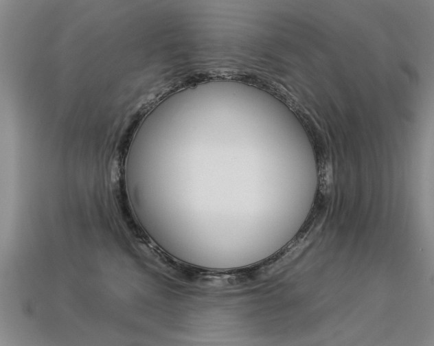 X0000113350472200909151030