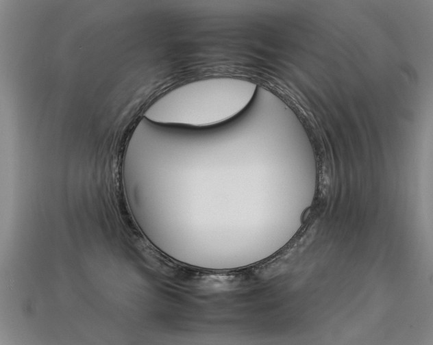 X0000113350473200909151030