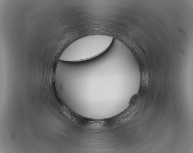 X0000113350474200909151030