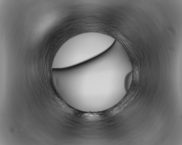 X0000113350477200909151030