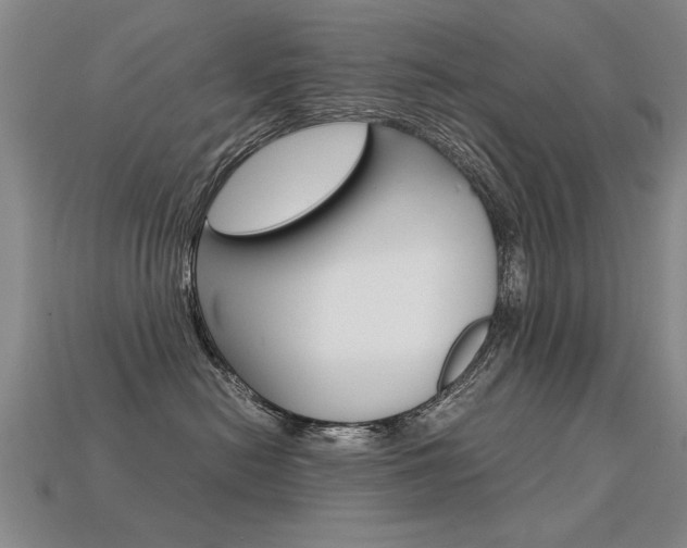 X0000113350478200909151030