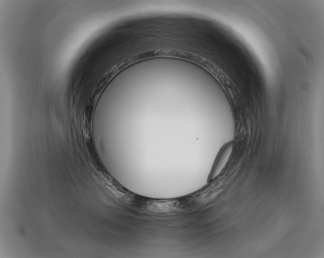 X0000113350479200909151030