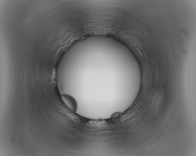 X0000113350480200909151030