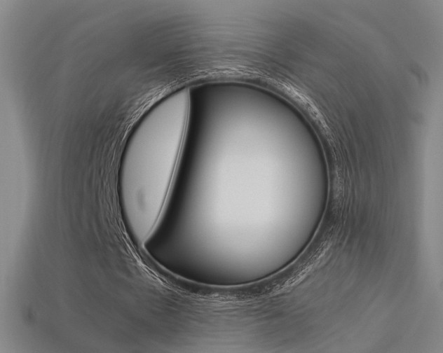 X0000113350481200909151029