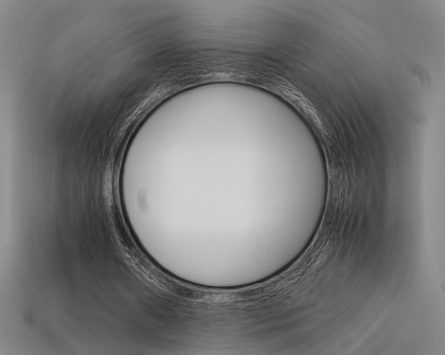 X0000113350482200909151029