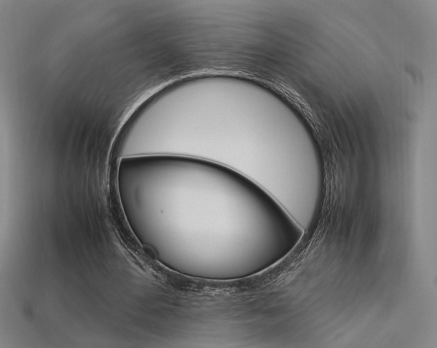 X0000113350484200909151029